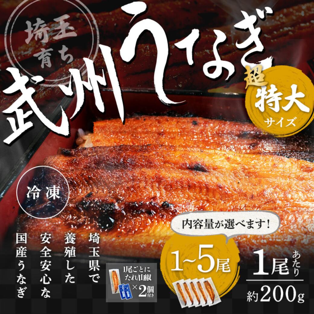 武州うなぎ 国産蒲焼 (超特大)1～5尾 1尾あたり約200g(198g～)これ以上の大きさが全て含まれるお楽しみサイズ お歳暮 国産 うなぎ ギフト 家庭用 贈答用 埼玉 蒲焼き 真空パック 冷凍 ウナギのかば焼き 誕生日 プレゼント 鰻 川越 うなぎの蒲焼き 内祝 国産ギフト 秋ギフト