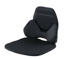 EXGEL(エクスジェル) 自動車用クッション ハグドライブセット ブラック 座布団 ざぶとん ジェル シート バック 車用 日本製 ランバーサポート フルサポ...
