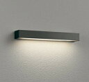 オーデリック エクステリア LED表札灯 高演色 防雨型 下面配光 電球色 黒色:OG254877R