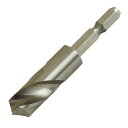SK11 ビック・ツール 六角軸 月光ドリル ショート 鉄工用 10.0mm FS6SGKS10.0