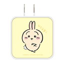 グルマンディーズ(Gourmandise) ちいかわ USB/USBType-C ACアダプタ うさぎ CK-03C