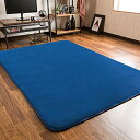 システムK ラグ カーペット 選べるカラー【極厚2.5cm】高反発ウレタン 130×185cm 子供も安心の抗菌・防臭・防ダニ ふわふわ肌触り 洗える 滑り止め...