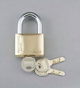 エスコ 50mmシリンダー南京錠(ディンプルキー) EA983SZ-50