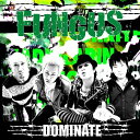 DOMINATE