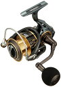 ダイワ(DAIWA) スピニングリール 17 セオリー 3500PE-H(2017モデル)