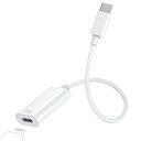 Beyeah USB C - Lightningアダプタ 急速充電アダプター ライトニング to タイプC 変換コネクター 急速充電 iOS Type C iPhoneメスからUSB C 変換 for iPhone 15、iPhone 15 Plus、iPhone 15 Pro、iPhone 15 Pro Max - イヤホ