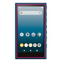 エレコム SONY ウォークマン A100 フィルム 防指紋 高光沢 AVS-A19FLFANG