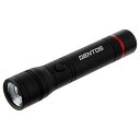 GENTOS(ジェントス) 懐中電灯 LEDライト 単2電池式 強力 600ルーメン レクシード RX-022DS ハンディライト フラッシュライト