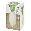 聖新陶芸 通年 家庭菜園 簡単 栽培キット ゆったり育てる だいこん 野菜 栽培セット ( 自由研究 / 食育 ) 鉢の径約10cm おうちで根菜 母の日 プレ...