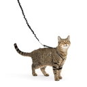 PetSafe(ペットセーフ)猫のハーネス イージーウォーク ネコ用ハーネス&バンジーリード ブラック Sサイズ