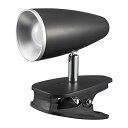 オーム電機 LEDクリップライト スポットライト 間接照明 USB電源 AC電源 昼白色 ブラック LTC-LC12S2-KN 06-0907 OHM