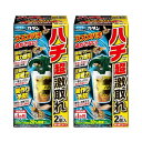 フマキラー カダン ハチ超激取れ 2個入×2個