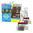 スフィアライト RIZINGα H8 H11 H16 LED フォグランプ 6000K ⇄ 2800K ホワイト イエロー 2色切替 12V 360...