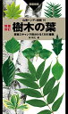 山溪ハンディ図鑑 14 増補改訂 樹木の葉 実物スキャンで見分ける1300種類