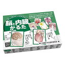 脳と内臓かるた (解剖学かるたシリーズ)