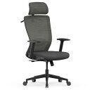 FLEXISPOT オフィスチェア デスクチェア OC3 多機能調節 ロッキング機能 3段階固定 2Dヘッドレスト付き アームレスト付き ランバーサポート付き ...