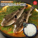 鐘崎天然とらふく刺身【送料無料】宗像漁業協同組合 鐘の岬活魚センター 宗像漁協 皮刺し ひれ酒 ヒレ ふぐ フグ フク 玄界灘 九州 福岡 お取り寄せグルメ 福...