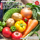 【福岡県糸島市】糸島産 旬の野菜盛り合わせセット【送料無料】フロンティア・アドバンス 九州 福岡 お取り寄せグルメ 福岡県よかもんショップ