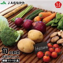 むなかた旬の野菜お任せセット【送料無料】宗像農業協同組合 ほたるの里 九州 福岡 お取り寄せグルメ 福岡県よかもんショップ