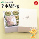 【期間限定販売】幸水梨 2kg【送料無料】福岡八女農業協同組合 JAふくおか八女 九州 福岡 お取り寄せグルメ 福岡県よかもんショップ
