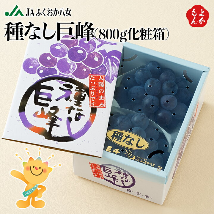 【期間限定販売】種なし巨峰 800g（化粧箱）【送料無料】福岡八女農業協同組合 JAふくおか八女 九州 福岡 お取り寄せグルメ 福岡県よか..