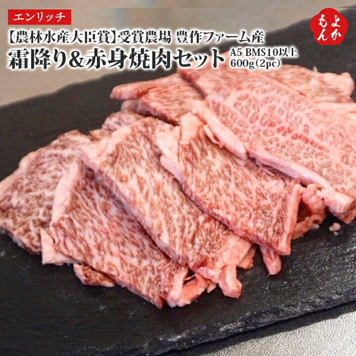 農林水産大臣賞”受賞農場 豊作ファーム産 博多和牛 霜降り&赤身焼肉セット A5 BMS10以上 600g 2pc 【送料無料】株式会社エンリッチ 九州 福岡 お取り寄せグルメ 福岡県よかもんショップ