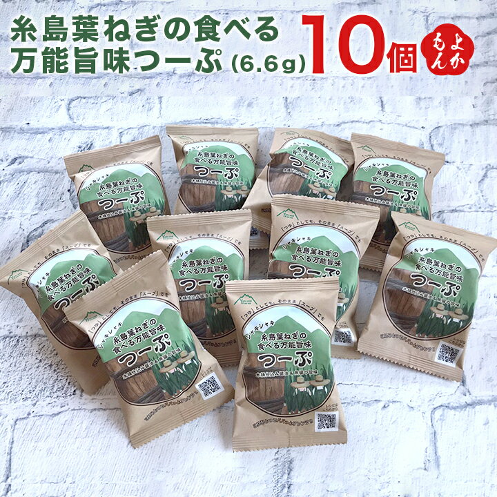 糸島葉ねぎの食べる万能旨味つーぷ10個【送料無料】株式会社弥冨農園 九州 福岡 お取り寄せグルメ 福岡県よかもんショップ 株式会社Carna