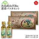 糸島産ねぎ油&葱香パスタセット【送料無料】Carna 葱 ネギ オイル スパゲティ 九州 福岡 お取り寄せグルメ 福岡県よかもんショップ