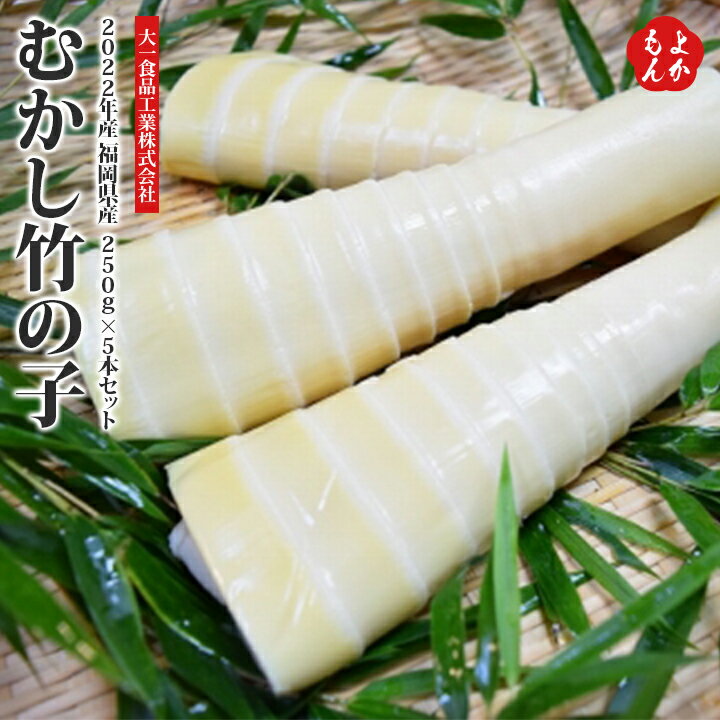 2022年産　福岡県産【むかし竹の子】250g×5本セット【※発送は4月下旬となります】【送料無料】大一食品工業株式会社　九州　福岡　お取り寄せグルメ　福岡県よかもんショップ