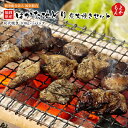 はかた地どり 炭火焼きセット【送料無料】農事組合法人 福栄組合 100g×5パック地鶏 九州 福岡 お取り寄せグルメ 福岡県よかもんショップ