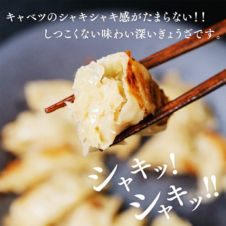 【割引クーポン配布中】太宰府ぎょうざ100個(1個約18g)【送料無料】(株)リプレイス九州福岡お取り寄せ福岡県よかもんショップ