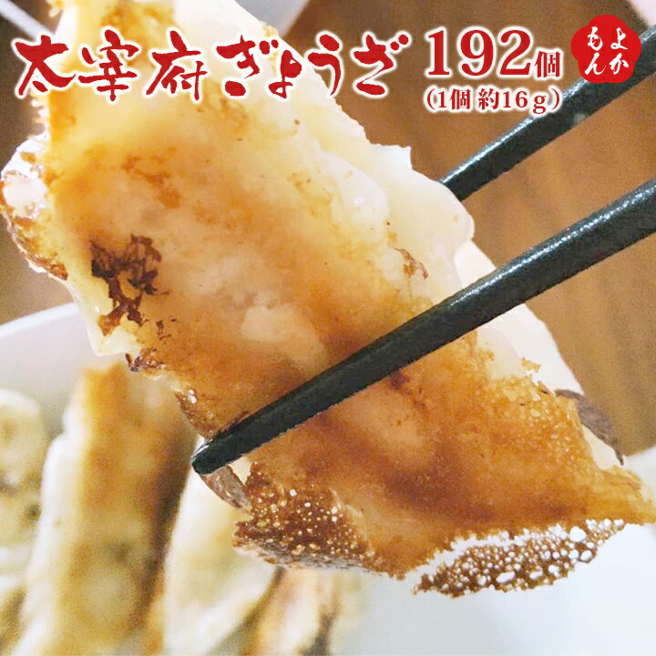 太宰府ぎょうざ　192個（1個 約16g）【送料無料】(株)リプレイス 九州 福岡 お取り寄せグルメ 福岡県よかもんショップ