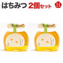 はちみつ 2個セット【送料無料】南畑ぼうぶら会議 九州 福岡 お取り寄せグルメ 福岡県よかもんショップ