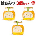 はちみつ 3個セット【送料無料】南畑ぼうぶら会議 九州 福岡 お取り寄せグルメ 福岡県よかもんショップ