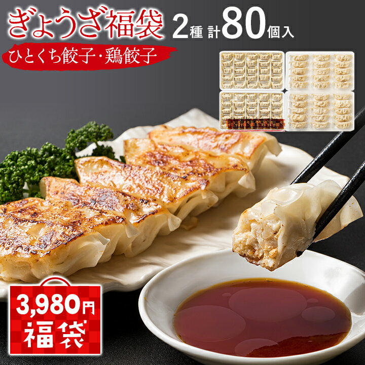 【3980円福袋】ぎょうざ福袋　2種計80個入（ひとくち餃子・鶏餃子）【送料無料】株式会社ウエダ 九州 福岡 お取り寄せグルメ 福岡県よかもんショップのサムネイル