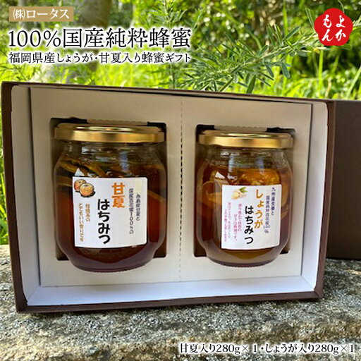 100%国産純粋蜂蜜 ~しょうが入り蜂蜜・甘夏入り蜂蜜 ギフト~【送料無料】ロータス 百花蜂蜜 九州 福岡 お取り寄せグルメ 福岡県よかもんショップ 100%国産純粋蜂蜜 ~しょうが入り蜂蜜・甘夏入り蜂蜜 ギフト~【送料無料】ロータス 百花蜂蜜 九州 福岡 お取り寄せグルメ 福岡県よかもんショップ
