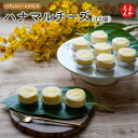 ハナマルチーズ（15個）【送料無料】一柳（パティスリー　イチリュウ） 九州 福岡 お取り寄せグルメ 福岡県よかもんショップ