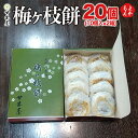 梅ヶ枝餅 10個入×2箱(20個)【送料無料】甘木屋 太宰府名物 梅が枝餅 うめがえもち 九州 福岡 ...