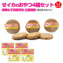 せイカのおやつ 4箱セット 精華女子高等学校企画開発【送料無料】はかた本舗 九州 福岡 お取り寄せグルメ 福岡県よかもんショップ