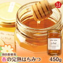 春の完熟はちみつ 里山 450g【送料無料】須田養蜂場 蜂蜜 ハチミツ 九州 福岡 お取り寄せグルメ 福岡県よかもんショップ