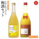 レモン&マンゴーの梅酒セット【送料無料】研醸 レモネード梅酒 マンゴー梅酒 福岡 お取り寄せグルメ 福岡県よかもんショップ