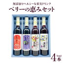 ベリーの恵みセット (ザクロジュース・カシスプレミアムドリンク・ブルーベリー黒酢・クランベリー&ラズベリー黒酢)【送料無料】ハウスボトラーズ 九州 福岡 お取り...