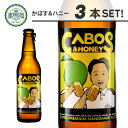 かぼす&ハニー 3本セット【送料無料】ケイズブルーイングカンパニー 本格クラフトビール ブルーマスター 九州 福岡 お取り寄せグルメ 福岡県よかもんショップ