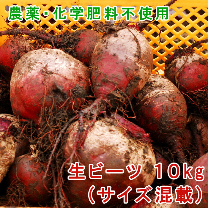 【送料無料】【朝市場直行】愛知県ほか　式部草 （しきぶそう）・金時草（きんじそう）約100g　x2個セット【冷蔵】