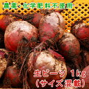ビーツ 1kg (サイズ混載) 化学肥料不使用 化学農薬不使用 生ビーツ 野菜 びーつ 熊本県産 国産 スーパーフード 食べる輸血