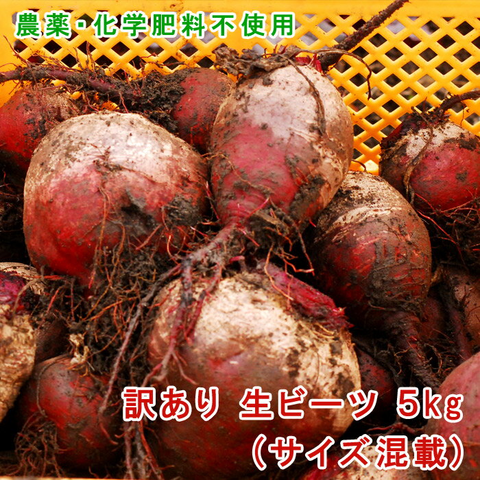 【送料無料】【朝市場直行】茨城県ほか　小笹　PC　約20g　x2個セット【冷蔵】