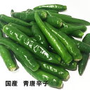 【熊本県あさぎり町産】辛口 青唐辛子1kg(1000g)【国産】 【熊本県あさぎり町産】辛口 青唐辛子1kg(1000g)【国産】