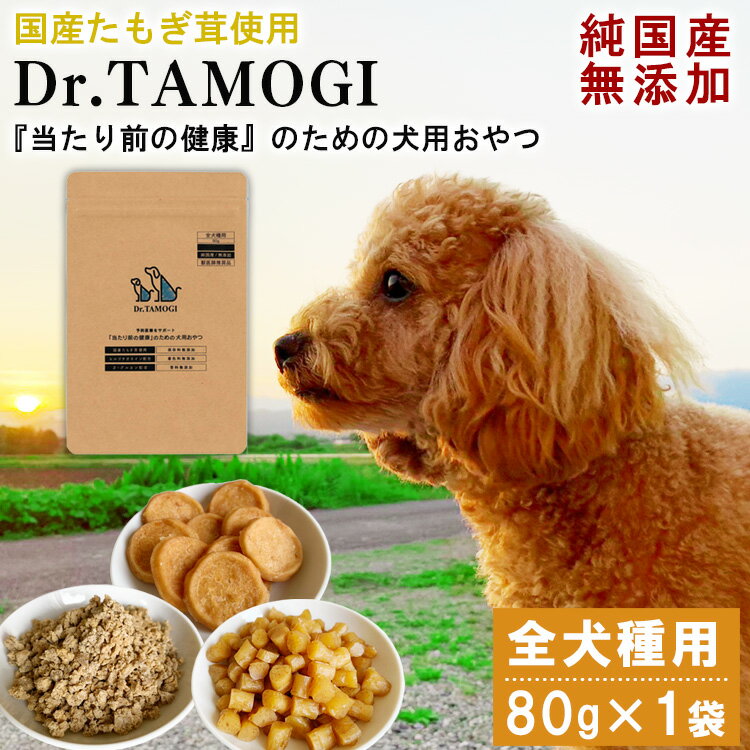 犬 おやつ 無添加 「Dr.TAMOGI 80g×1袋」純国産 ドッグフード たもぎ茸 たもぎ エルゴチエネイン 犬のおやつ 犬用 オヤツ ペットフード いぬ 犬用おやつ