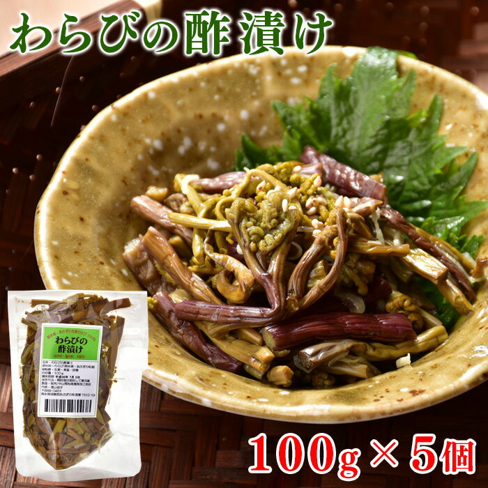 わらびの酢漬け100g×5袋【熊本県産蕨(わらび)使用】