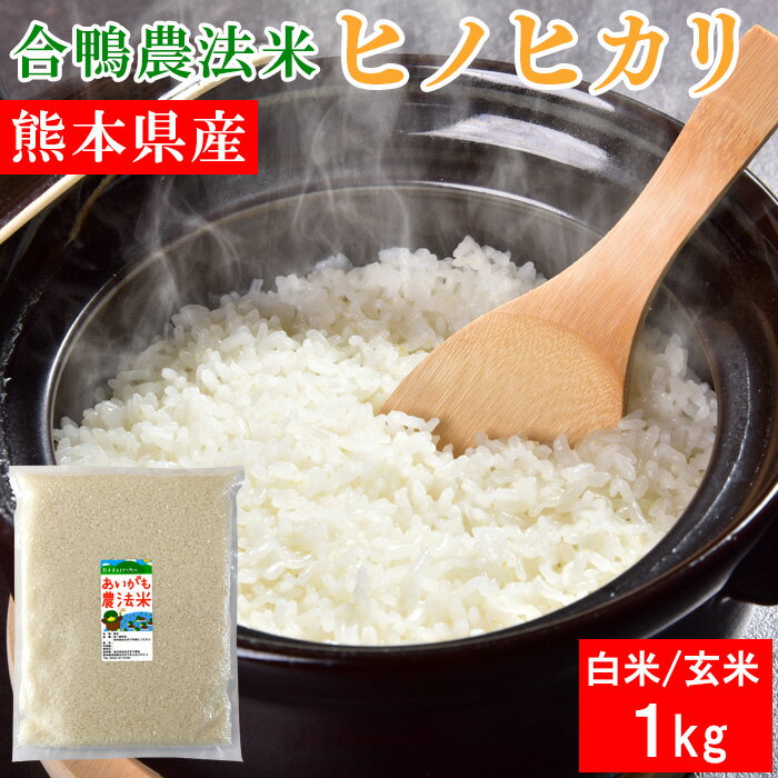 合鴨農法米 ヒノヒカリ 1kg 令和5年産 送料無料 お米 白米 玄米 熊本県産 アイガモ 合鴨 栽培期間中農薬不使用 化学肥料不使用【クロネコゆうパケット配送】のサムネイル